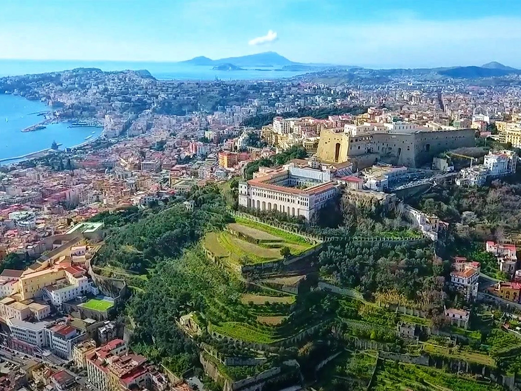 Napoli, vigneto certosa di san martino 