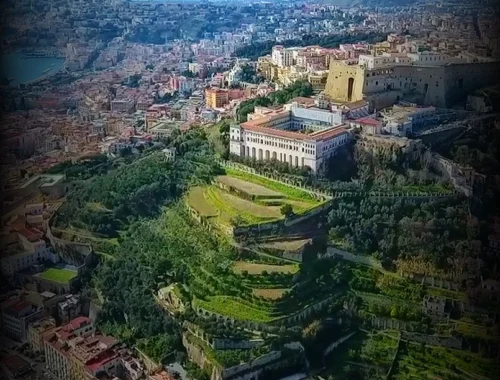 napoli seconda città più vitata d'europa